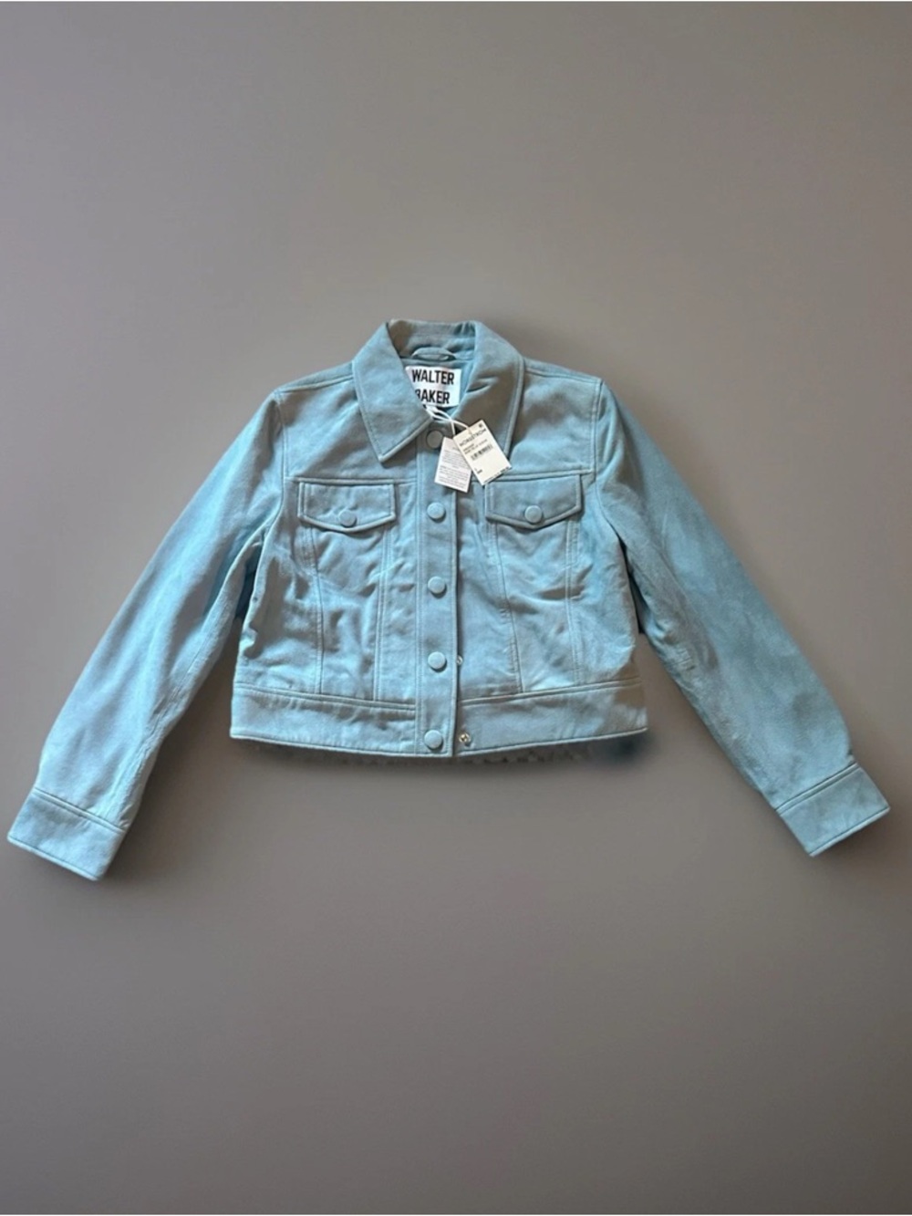 Walter Baker Kacey Suede Jacket Women's Baby Blue NWT $898 Sz Large - Picture 5 of 15